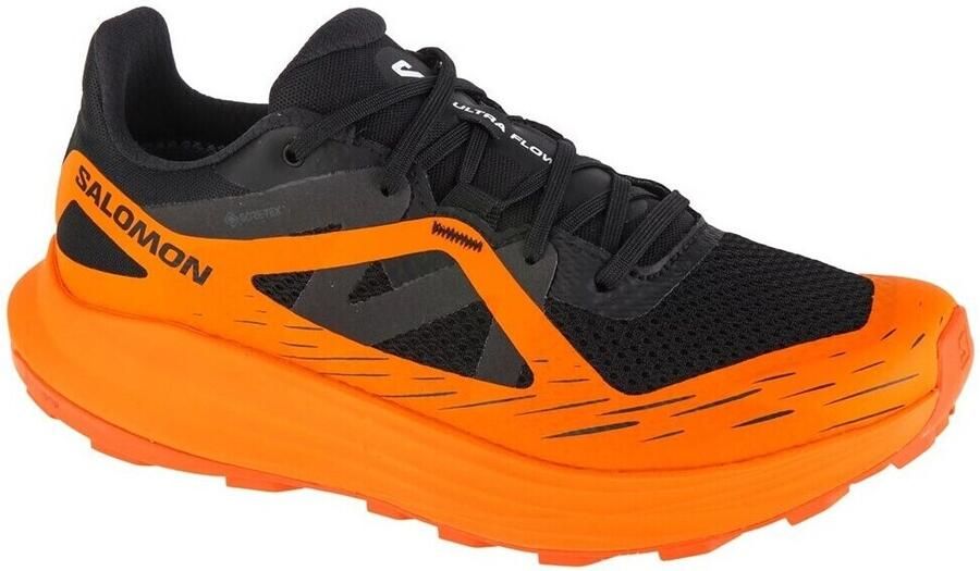 Salomon Wandelschoenen Ultra Flow Gtx