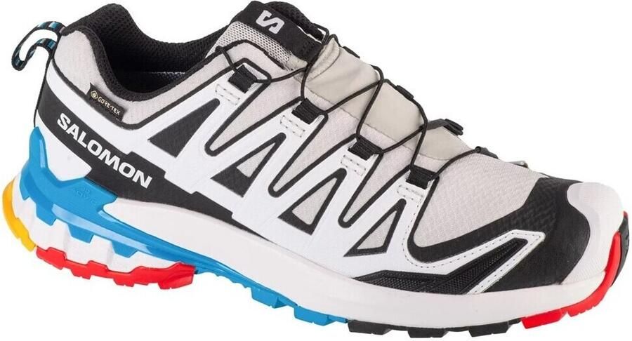 Salomon Women's XA Pro 3D V9 GTX Multisportschoenen grijs