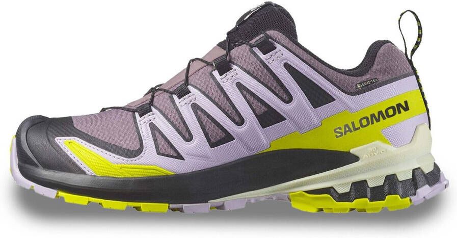 Salomon Women's XA Pro 3D V9 GTX Multisportschoenen 1 3 meerkleurig - Foto 7