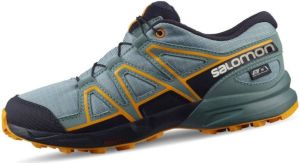 Salomon Wandelschoenen
