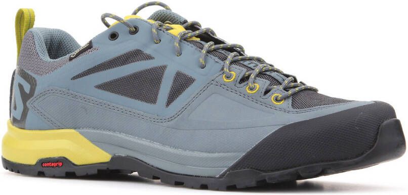 Salomon Wandelschoenen Trekking shoes X Alp SPRY GTX 401621