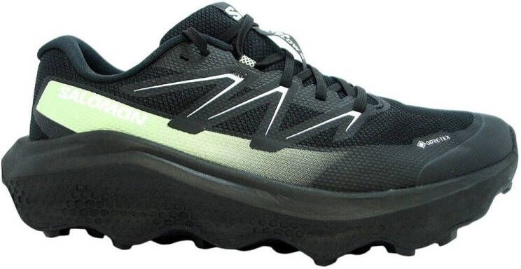 Salomon Wandelschoenen Ultra Flow 2 Gtx