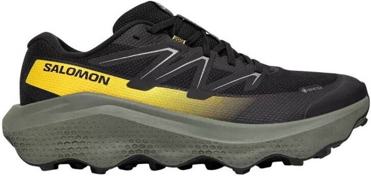 Salomon Wandelschoenen Ultra Flow 2 Gtx