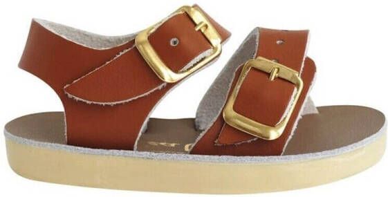 Salt Water Sandals Sneakers SEAWEE-18