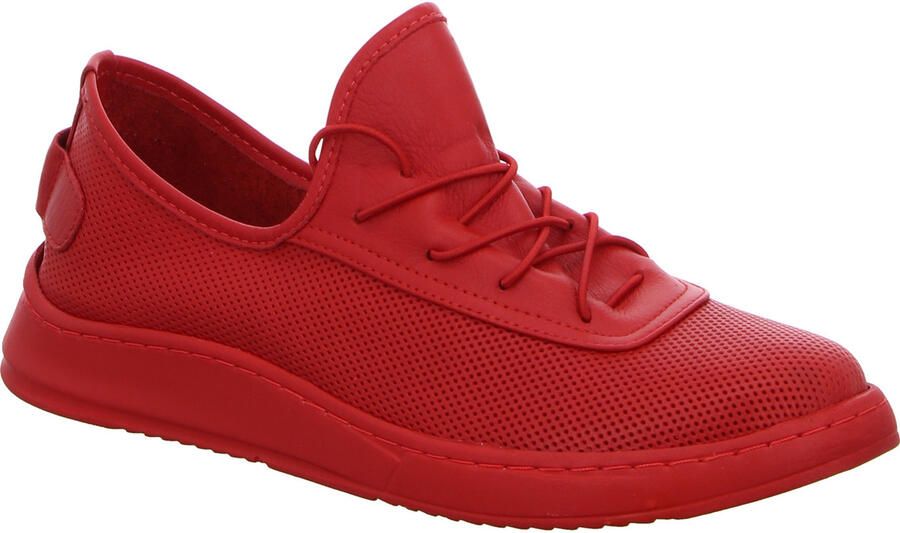 Scandi Lage Sneakers 8200081r1