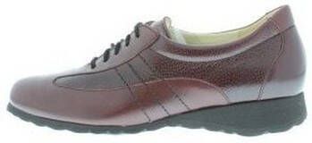 Schneider Sneakers 13178