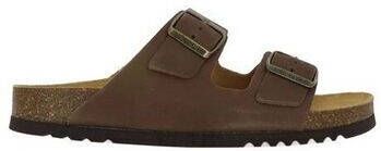 Scholl Slippers JOSEPHINE Black F300050