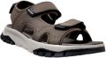 Skechers Sandalen Wagner-avalon - Bruin