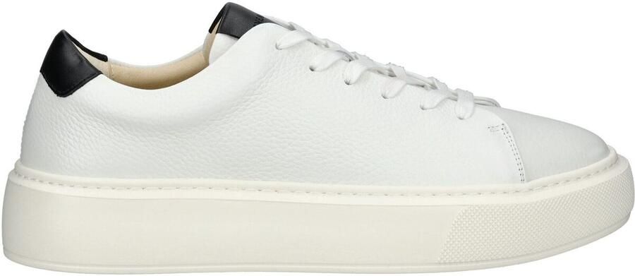Sneaky Steve Moderne Starlight Sneaker met Contrasterende Kleuren White Unisex