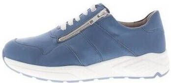 Solidus Sneakers Kea