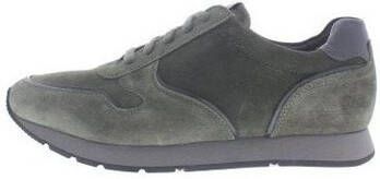 Solidus Sneakers Harry H