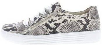 Solidus Sneakers Hazel H