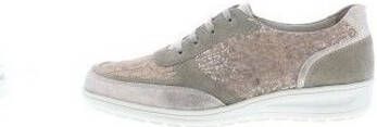 Solidus Sneakers Heaven