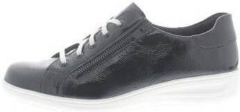 Solidus Sneakers Heaven
