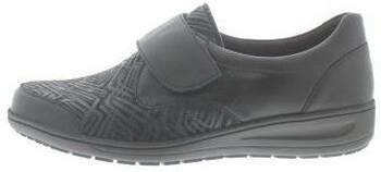 Solidus Sneakers Heaven