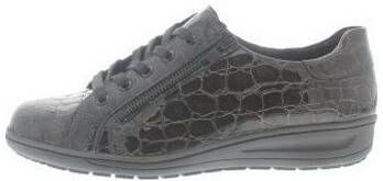 Solidus Sneakers Heaven
