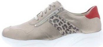 Solidus Sneakers Kea Glory Leopard K