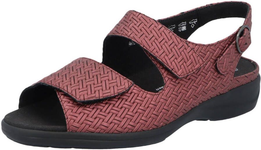 Solidus Sandalen Lia