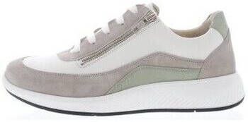 Solidus Sneakers Halea H