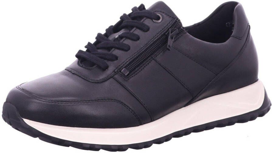 Solidus Sneakers Harry