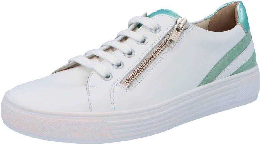 Solidus Sneakers Hazel