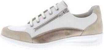 Solidus Sneakers Heaven