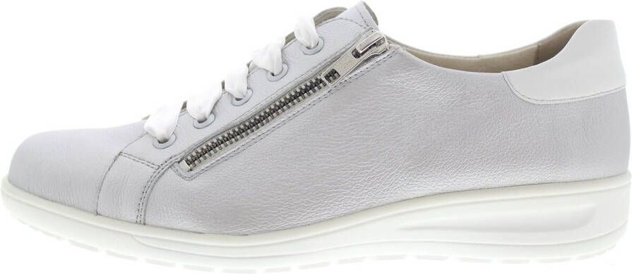 Solidus Sneakers Heaven