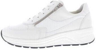 Solidus Sneakers Holly