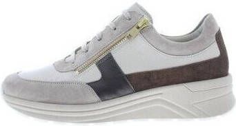 Solidus Sneakers Holly H