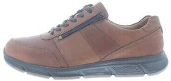 Solidus Sneakers Kai K