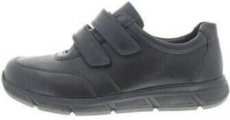 Solidus Sneakers Kai K