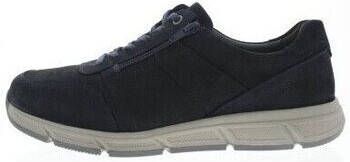 Solidus Sneakers Kai