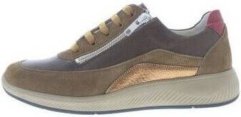 Solidus Sneakers Kalea