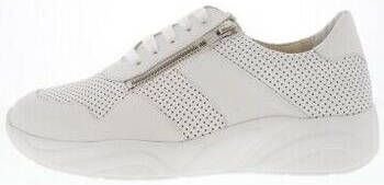 Solidus Sneakers Kea