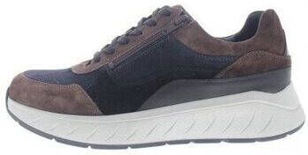 Solidus Sneakers Ken