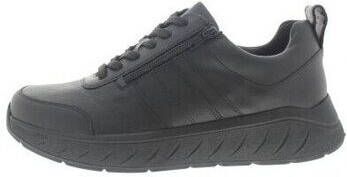 Solidus Sneakers Ken