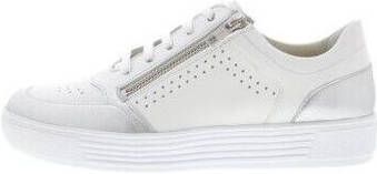 Solidus Sneakers Kendal