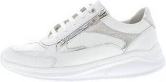Solidus Sneakers Kitty