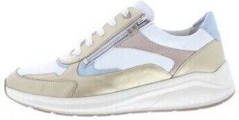 Solidus Sneakers Kitty