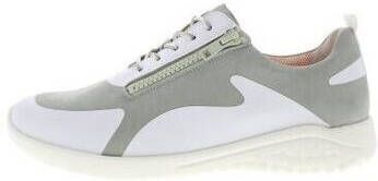 Solidus Sneakers Kyle