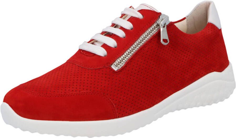 Solidus Sneakers Kyle