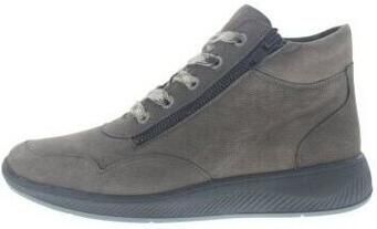 Solidus Hoge Sneakers Halea