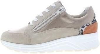 Solidus Lage Sneakers Holly