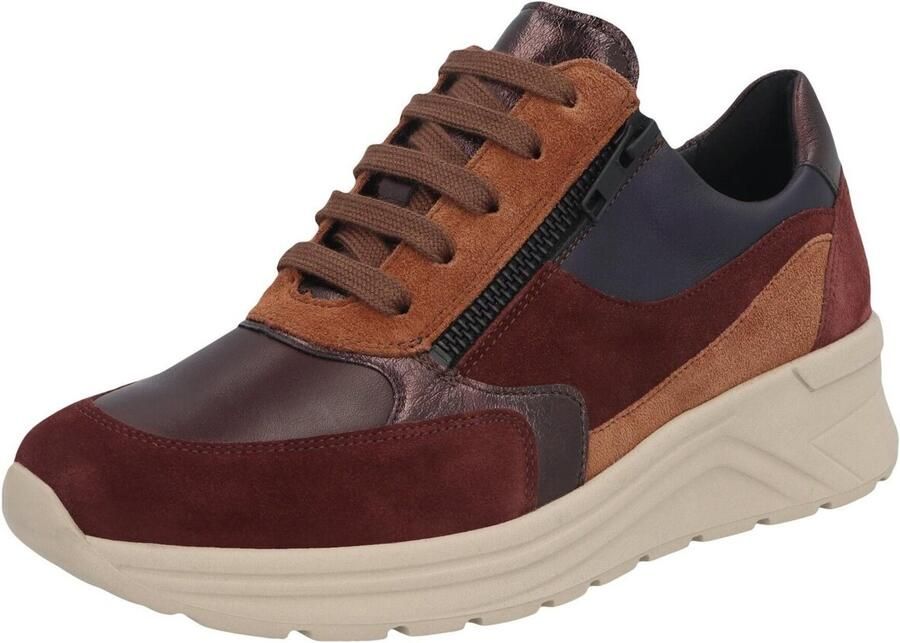 Solidus Lage Sneakers Holly