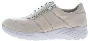 Solidus Lage Sneakers Kea