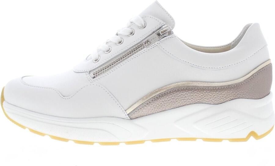Solidus Lage Sneakers Kea