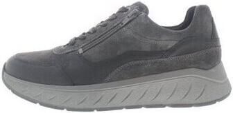 Solidus Lage Sneakers Ken