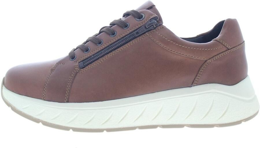 Solidus Lage Sneakers Ken