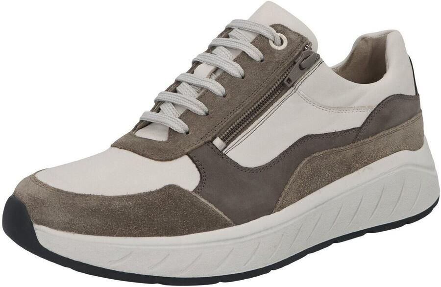 Solidus Lage Sneakers Ken