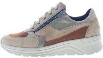 Solidus Sneakers Holly